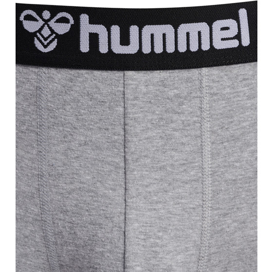 Hummel Boxers 2-pack
