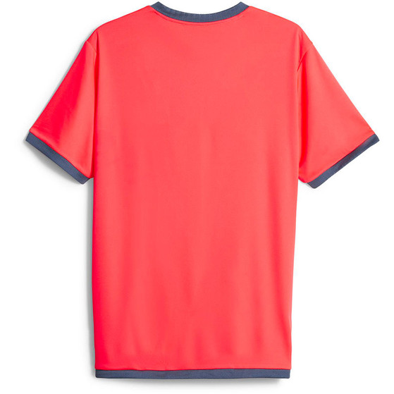 Puma LIGA Trainingsset