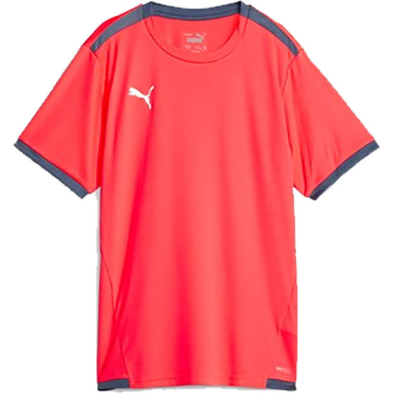 Puma LIGA Trainingsset Kids