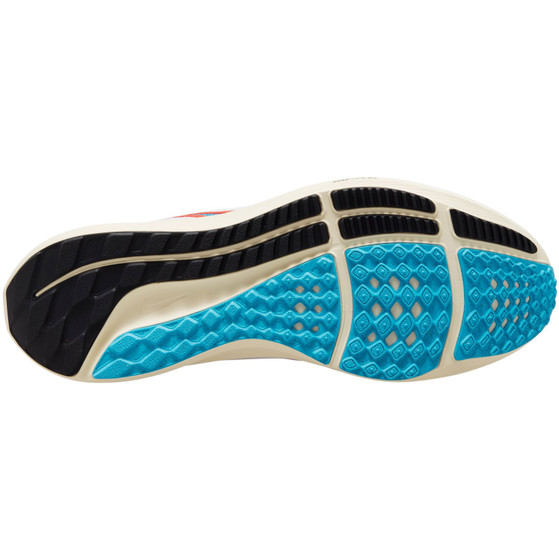 Nike Pegasus 40 Herren
