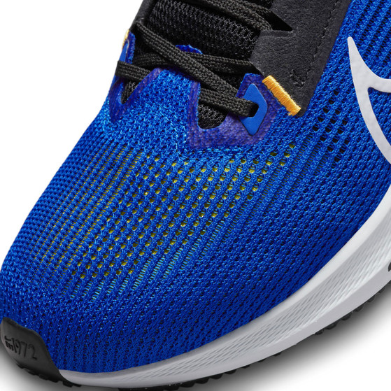 Nike Pegasus 40 Heren