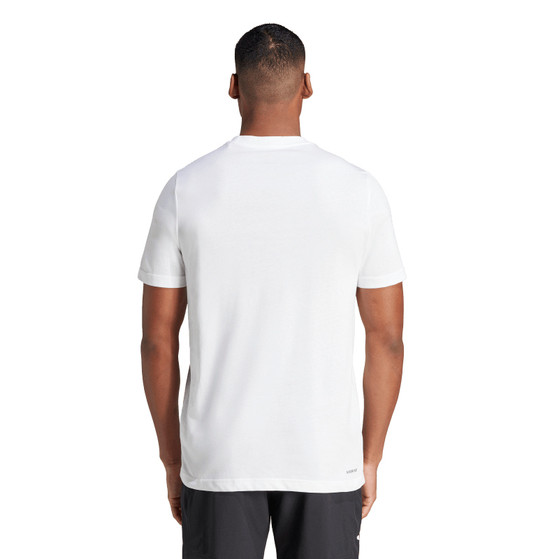 adidas Graphic Training Tee