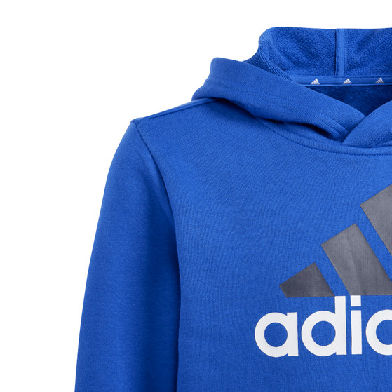 adidas Essentials Big Logo Hoody Jongens
