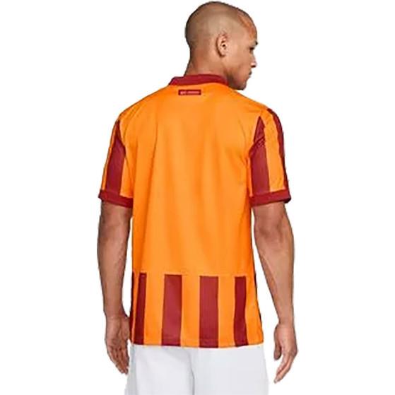 Nike Galatasaray 3rd Shirt 2023/2024