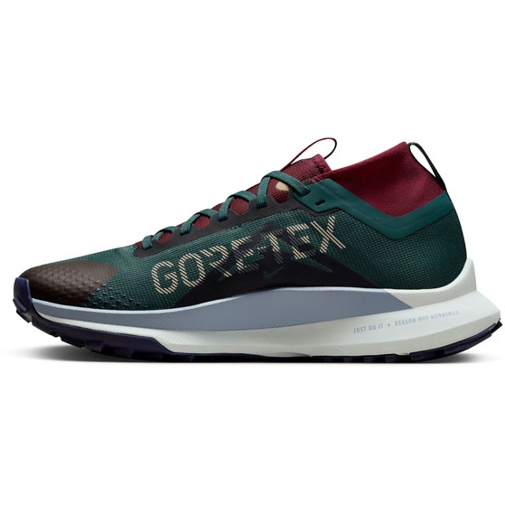 Nike Pegasus Trail 4 GTX Heren