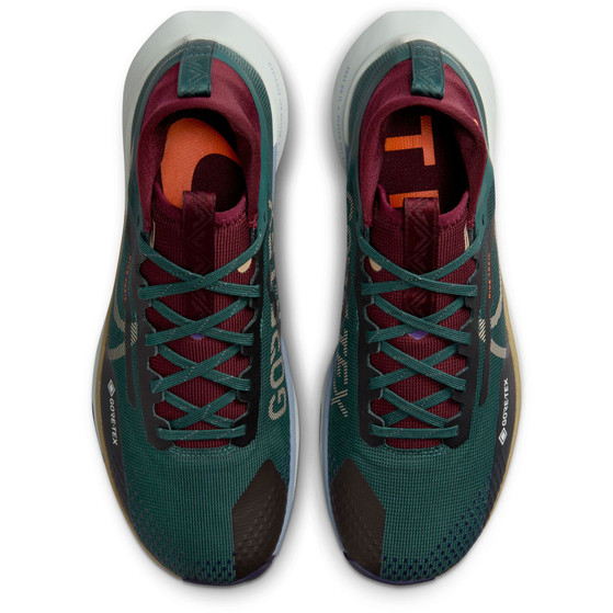 Nike Pegasus Trail 4 GTX Heren