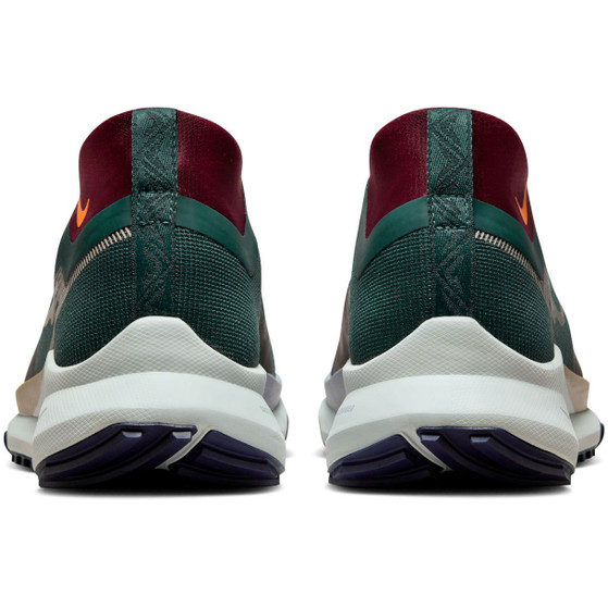 Nike Pegasus Trail 4 GTX Heren