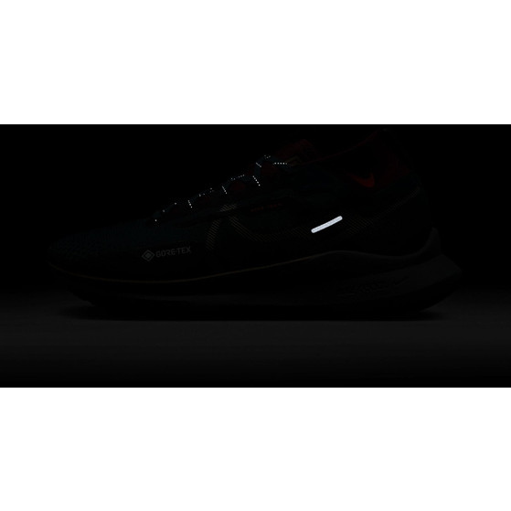 Nike Pegasus Trail 4 GTX Heren