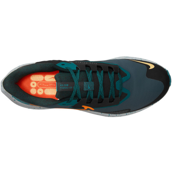 Nike Pegasus Shield Herren