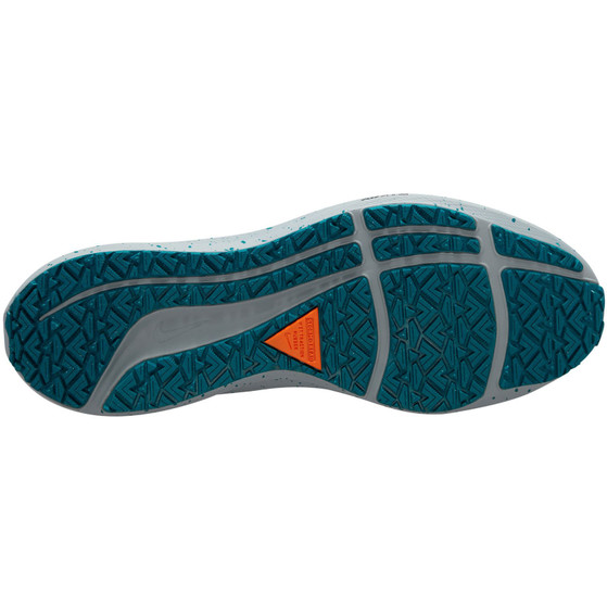 Nike Pegasus Shield Herren