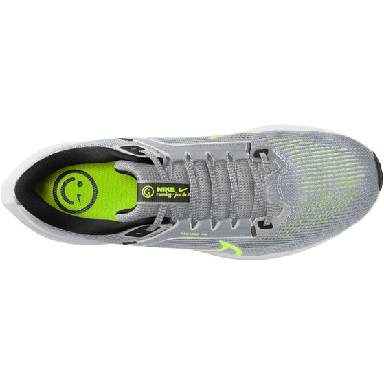 Nike Pegasus 40 Herren