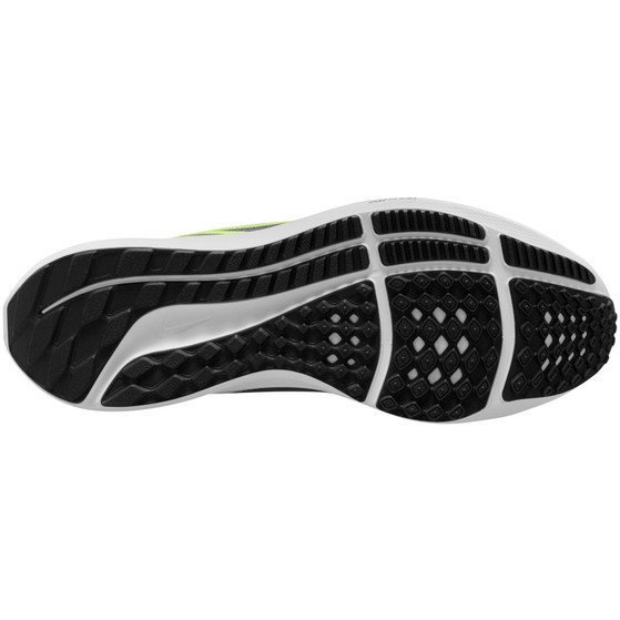 Nike Pegasus 40 Herren