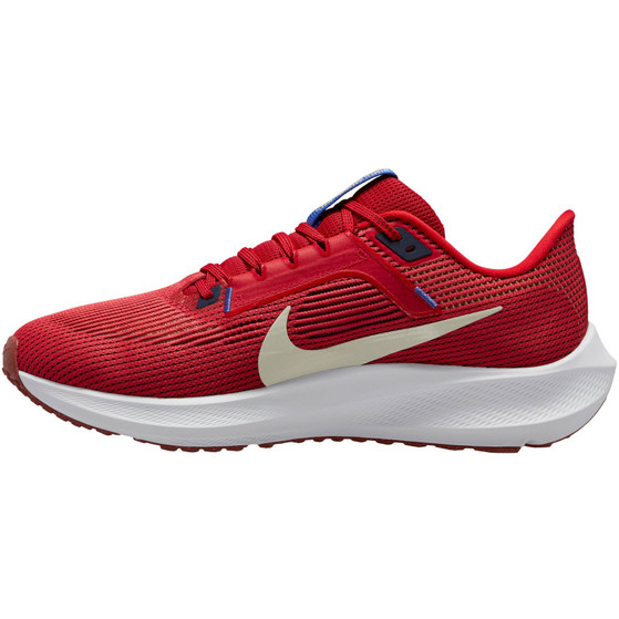 Nike Pegasus 40 Herren