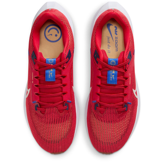 Nike Pegasus 40 Herren