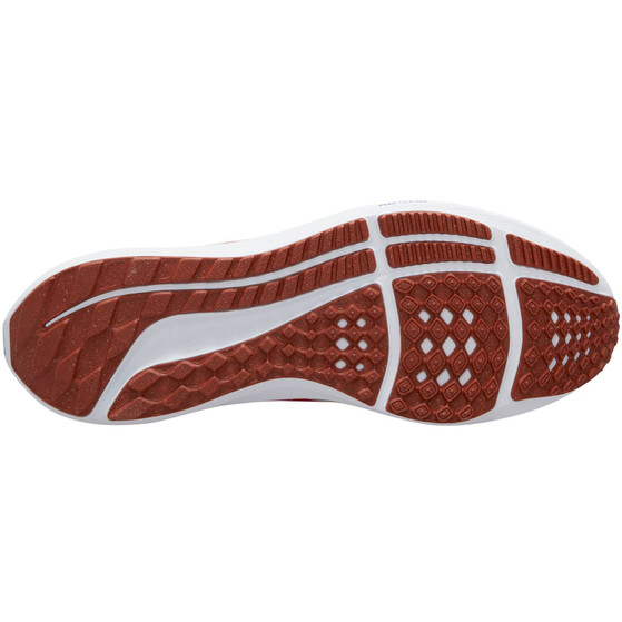Nike Pegasus 40 Herren