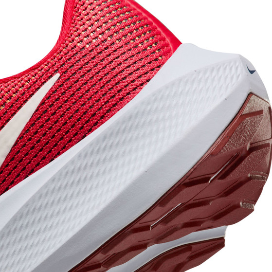 Nike Pegasus 40 Herren