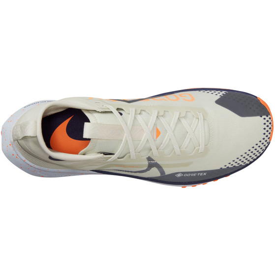 Nike Pegasus Trail 4 GTX Herren