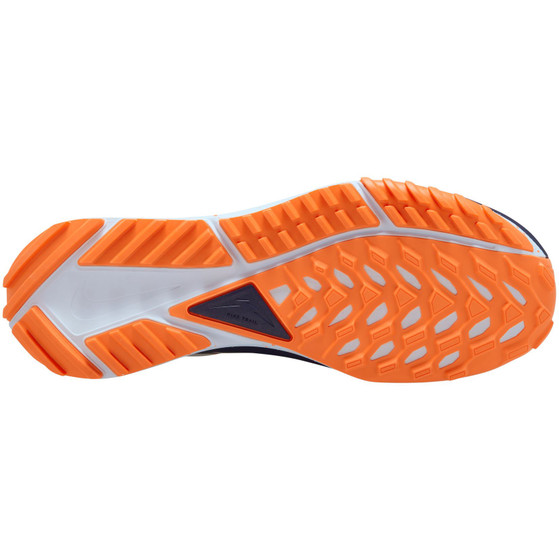 Nike Pegasus Trail 4 GTX Herren