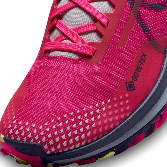 Nike Pegasus Trail 4 GTX Dames