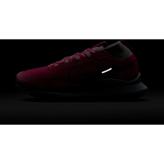 Nike Pegasus Trail 4 GTX Dames