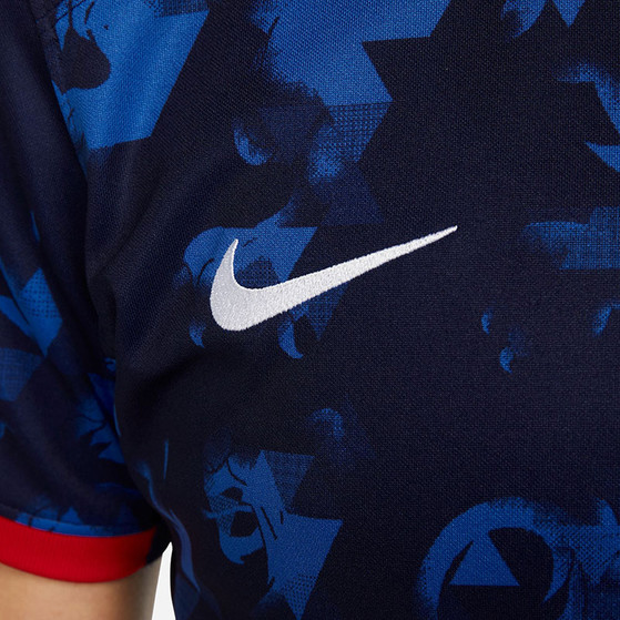Nike Nederland Uit Tenue Dames