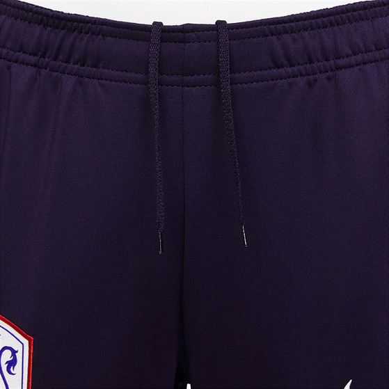Nike Netherlands Strike Pant Woman