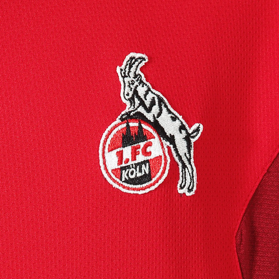 Hummel FC Köln Training Hoody Kids