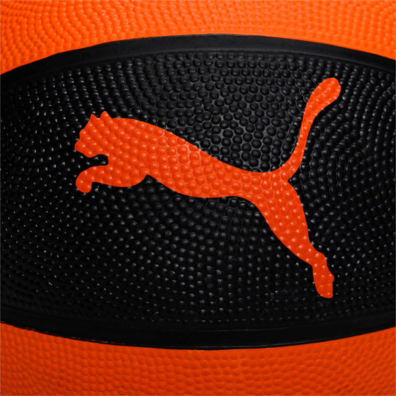 PUMA Indoor Basketball