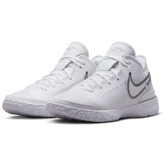 Nike Zoom LeBron Nxxt Gen
