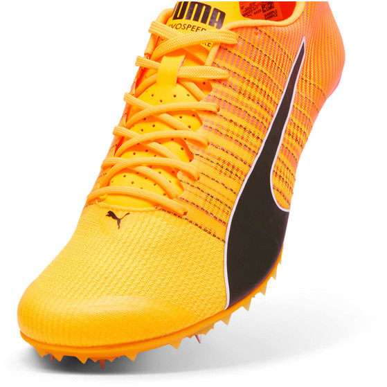 PUMA evoSPEED FUTURE 6