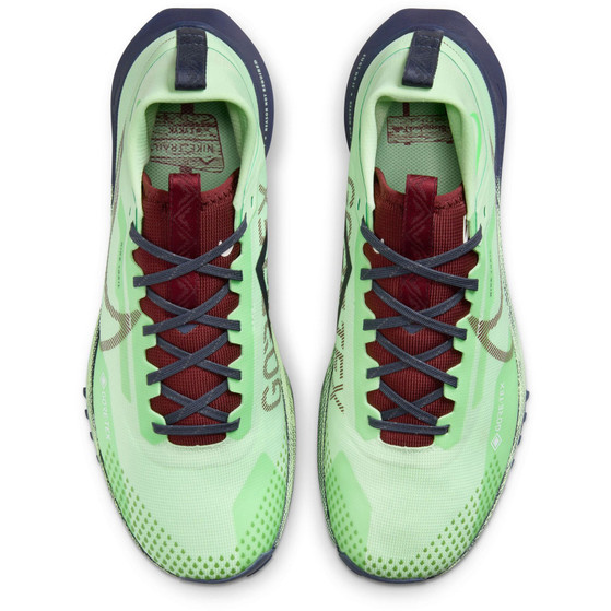 Nike Pegasus Trail 4 GTX Heren