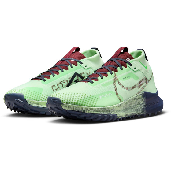 Nike Pegasus Trail 4 GTX Heren