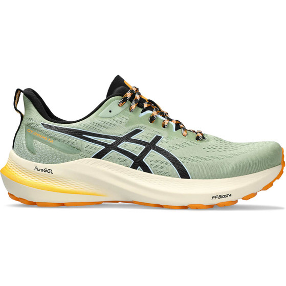 ASICS GT-2000 12 TR Herren