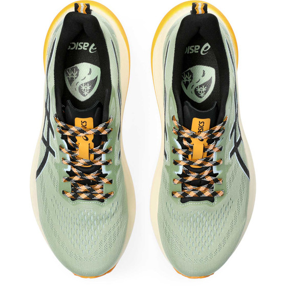 ASICS GT-2000 12 TR Herren