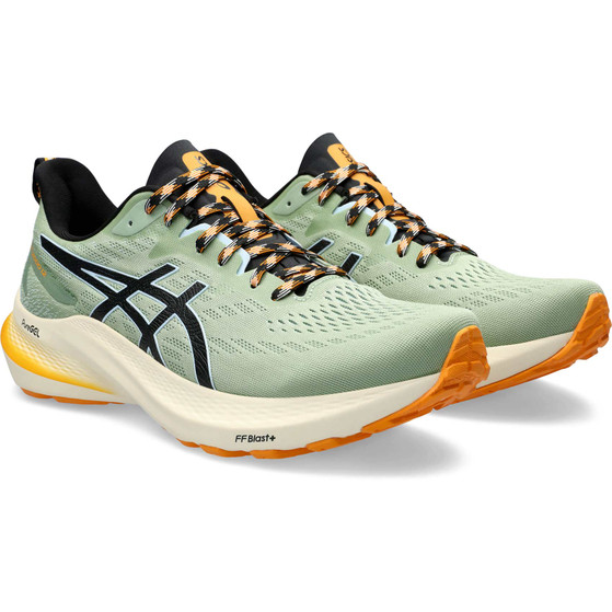 ASICS GT-2000 12 TR Herren