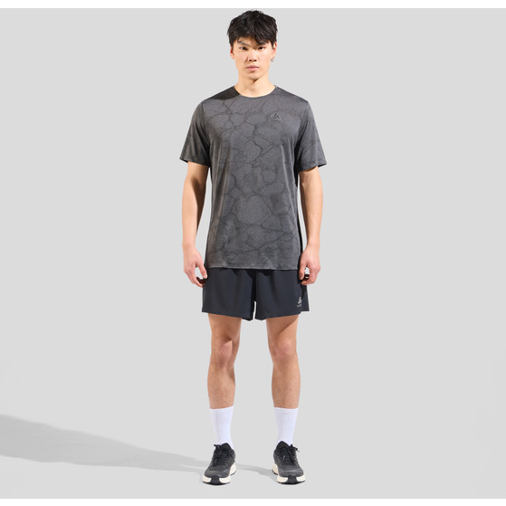 Odlo ZeroWeight Crew Neck Chilltec T-Shirt Heren