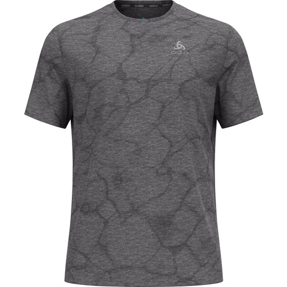 Odlo ZeroWeight Crew Neck Chilltec T-Shirt Heren
