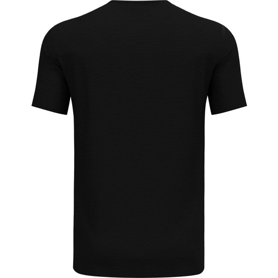 Odlo Merino 160 T-Shirt Herren