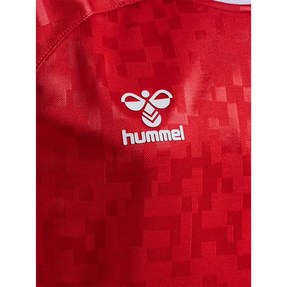 Hummel Denmark Home Shirt Kids  2024/2026