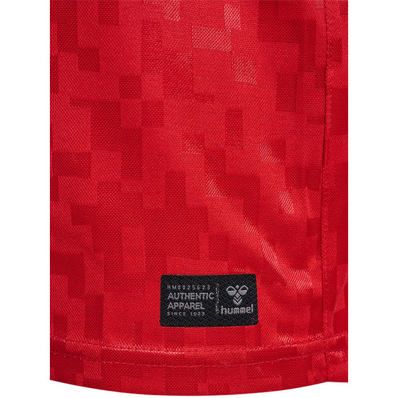 Hummel Denmark Home Shirt Kids  2024/2026