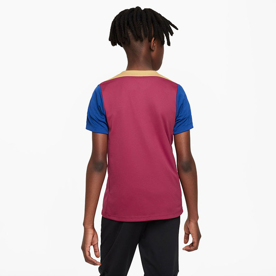 Nike FC Barcelona Strike Trainingsset Kids