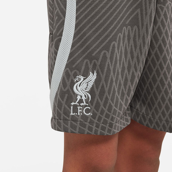 Nike Liverpool Strike Träningsset Barn