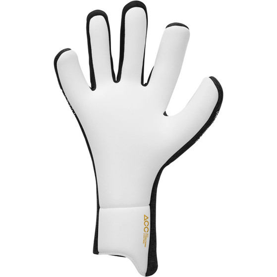 Nike Vapor Dynamic Fit