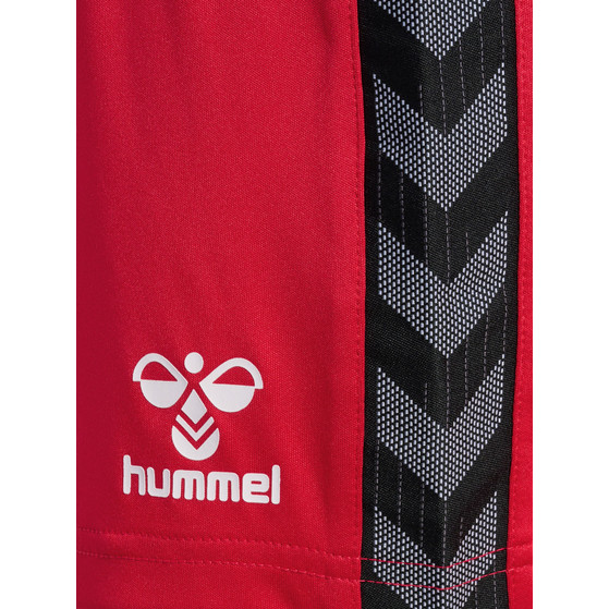 Hummel Authentic PL Shorts Dam
