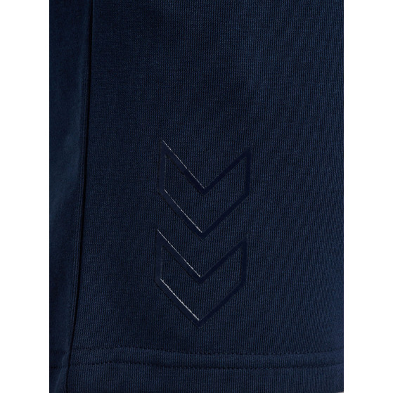 Hummel Active Cotton Shorts Men