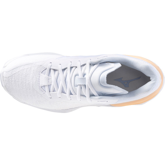 Mizuno Wave Stealth Neo Dam