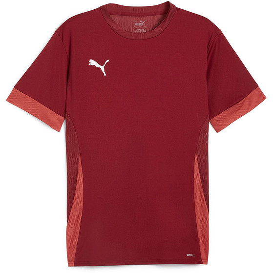 Puma GOAL Trainingsset