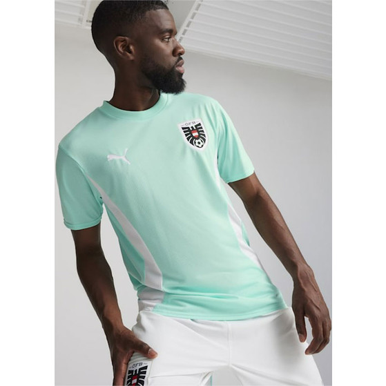 Puma Österreich Training Trikot