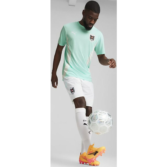 Puma Österreich Training Trikot