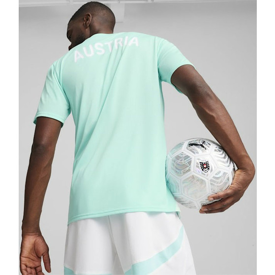 Puma Österreich Training Trikot